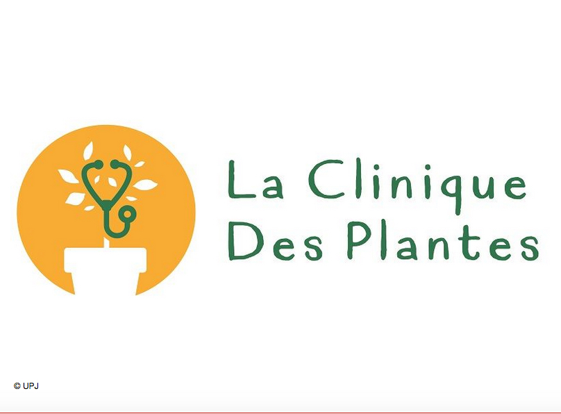 La Clinique des Plantes lance sa web-série « Le calendrier du Jardinier » pour les jeunes