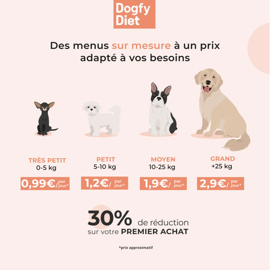 Dogfy Diet, le “Comme j’aime » pour chiens débarque en France
