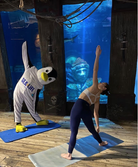 Des Cours de Yoga parmi les poissons à l’Aquarium Sea Life Paris Val d’Europe (77)