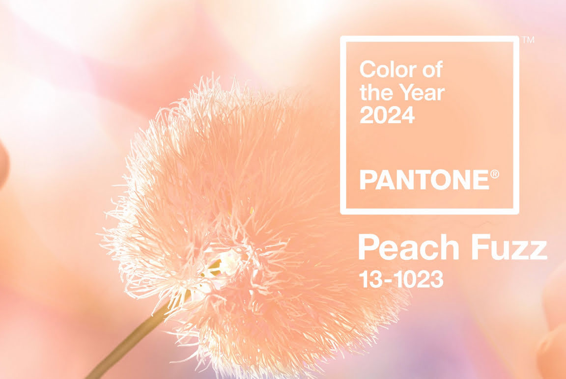 « Peach Fuzz » la couleur de l’année 2024 dévoilée par Pantone